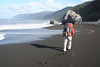 Paige Falk (paigefalk) > 4th Annual Lost Coast Backpack 4/09 photo