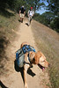 Paige Falk (paigefalk) > Cache Creek Backpack 5/09 photo