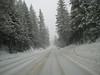 Paige Falk (paigefalk) > Carson Pass Adventures, First Week of 3/09' photo