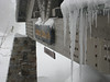 Paige Falk (paigefalk) > Carson Pass Adventures, First Week of 3/09' photo
