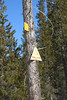 Paige Falk (paigefalk) > Dewey Point Snowshoe Backpack 2/08 photo