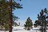 Paige Falk (paigefalk) > Dewey Point Snowshoe Backpack 2/08 photo