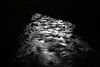 Paige Falk (paigefalk) > Moon reflection. Click here for day 2 http://paigefalk.smugmug.com/gallery/2581237#135991251