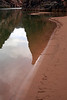 Paige Falk (paigefalk) > The water line in front of camp, by morning it had receeded quite a bit.