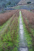 Paige Falk (paigefalk) > Road across the dam