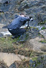 Paige Falk (paigefalk) > Jason taking waterfall photos. Thanks for the inspiration, Jason!