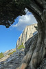 Paige Falk (paigefalk) > High Sierra Trail Backpack (2nd time) 9/07 photo
