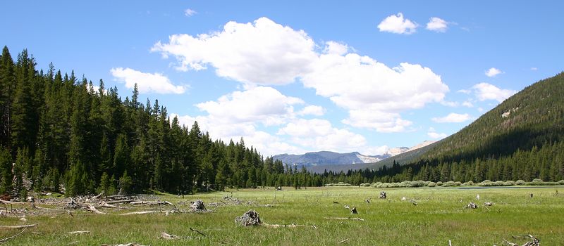 Paige Falk (paigefalk) > Lyell Canyon