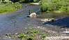 Paige Falk (paigefalk) > Fisherpeople along Minaret Creek