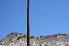 Paige Falk (paigefalk) > Yosemite High Passes Loop Backpack 7/07' photo