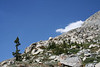 Paige Falk (paigefalk) > Yosemite High Passes Loop Backpack 7/07' photo