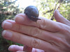 Paige Falk (paigefalk) > Pt. Reyes Dayhike 3/08 photo