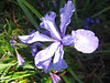 Paige Falk (paigefalk) > Pt. Reyes Dayhike 3/08 photo