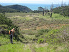 Paige Falk (paigefalk) > Pt. Reyes Dayhike 3/08 photo