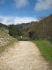 Paige Falk (paigefalk) > Pt. Reyes Dayhike 3/08 photo