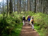 Paige Falk (paigefalk) > Pt. Reyes Dayhike 3/08 photo