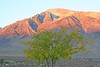 Paige Falk (paigefalk) > The next mornings sunrise from our campsite.
