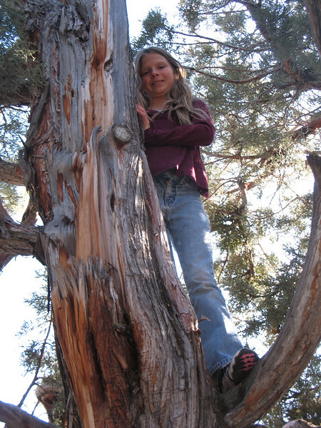 Paige Falk (paigefalk) > Lava Beds National Monument Carcamp Easter 08' photo