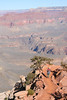 Paige Falk (paigefalk) > Baume66. You can see Plateau Point and trail above tree