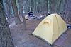 Paige Falk (paigefalk) > Our spot on Nine Mile Creek, we had alot of company here, two groups were hiking the trail on the same schedule as us, a group of five and two guys. We would leap frog the whole way.
