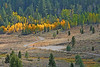 Paige Falk (paigefalk) > Fall Color East Side Sierra and Mono Lake 9/07 photo