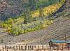 Paige Falk (paigefalk) > Little settlement on 395