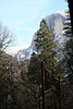 Paige Falk (paigefalk) > Yosemite Valley 1/08 photo