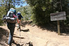 Ventana Wilderness Backpack 4/08' : Steve, Pavla, Barbara and I from NorthCAhiking headed into Pine Valley for an overnighter. We visited Jack and saw an incredibly beautiful waterfall after a difficult scramble. Jack is full of stories, if you're ever in the area stop by and chat with him (and bring some bacon and eggs)  ;) we also saw a ton of wildflowers, a 4 foot long Garter snake, a bunny, deer and a cool lizard. We ate at Phils Fish House in Moss Landing on the way home, funky but oh so good!