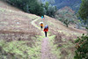 Paige Falk (paigefalk) > We head up from Woodchopper Spring