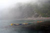 Paige Falk (paigefalk) > Bringing the kayaks to shore, what a job!
